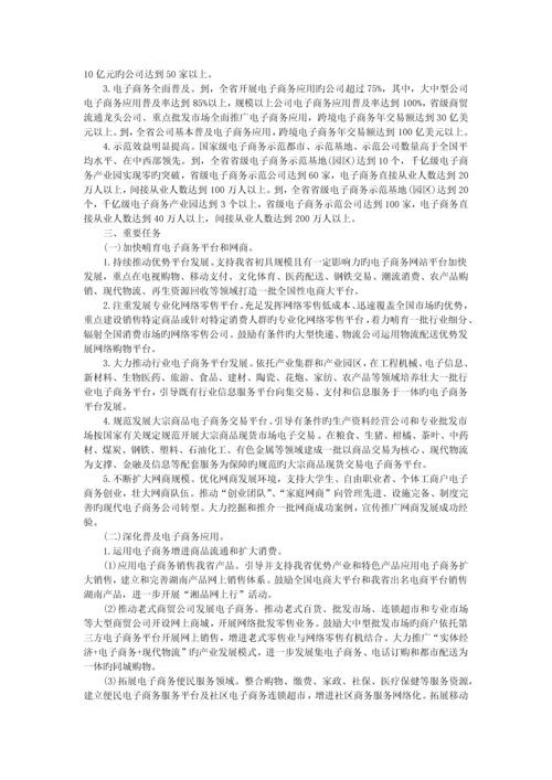 湖南省电子商务发展规划.docx