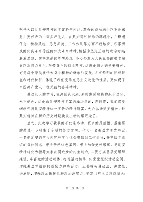 延安红色教育学习心得体会5篇.docx