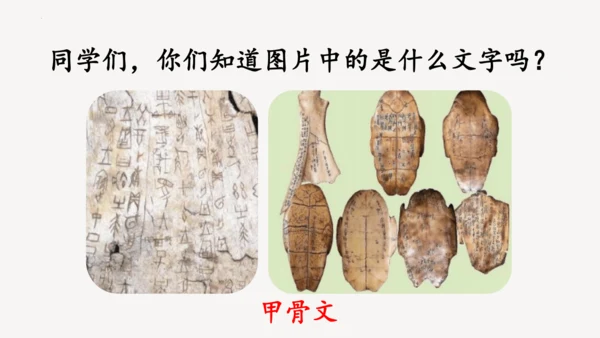 识字3 贝的故事（第一课时）课件