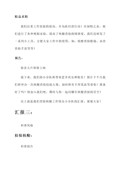 查验核酸工作总结汇报