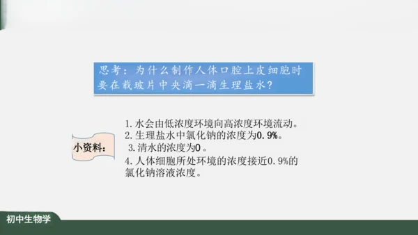 2.1.3 动物细胞 课件（共32张PPT）