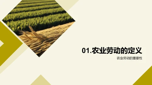 农业劳动之美
