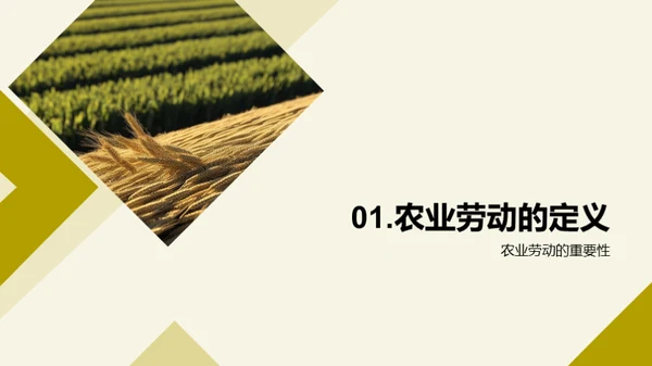 农业劳动之美