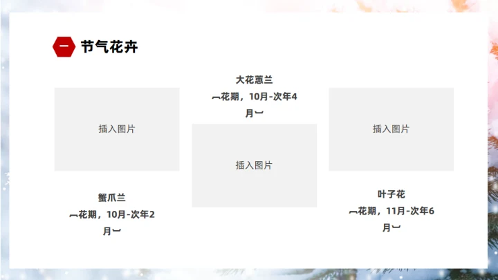 冬季雪景大雪节气通用PPT模板