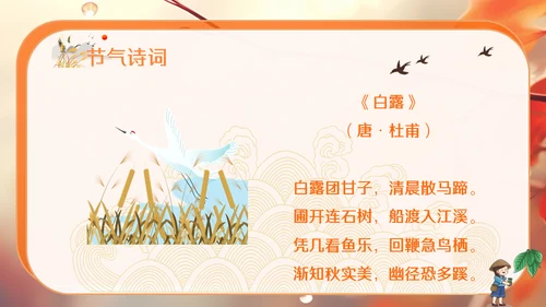 秋色白露节气，秋意浓通用PPT模板