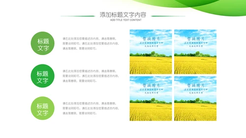 农业新农村种子春耕乡村振兴麦田发芽PPT