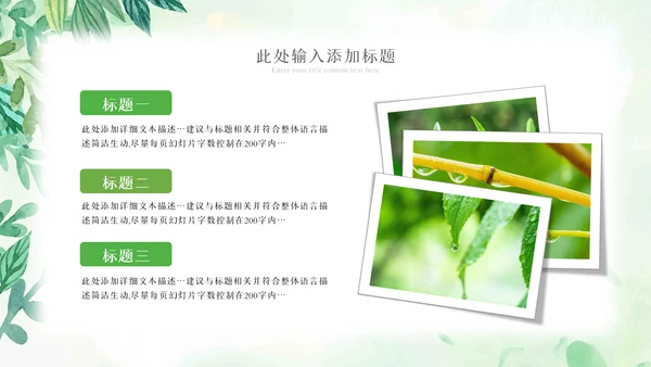 植物生长绿芽小树苗生长发芽成长ppt模板