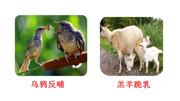 七下语文第四单元综合性学习 孝亲敬老，从我做起 课件