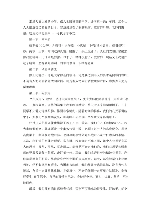 初中军训体会集合15篇.docx