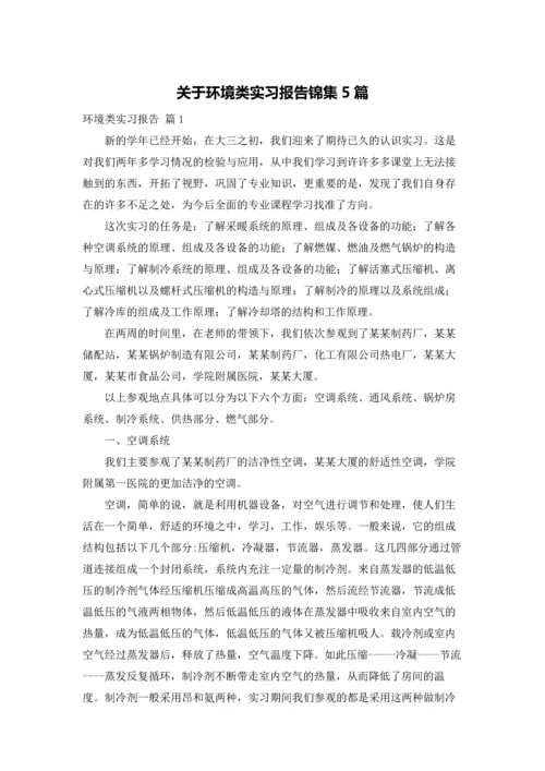 关于环境类实习报告锦集5篇.docx