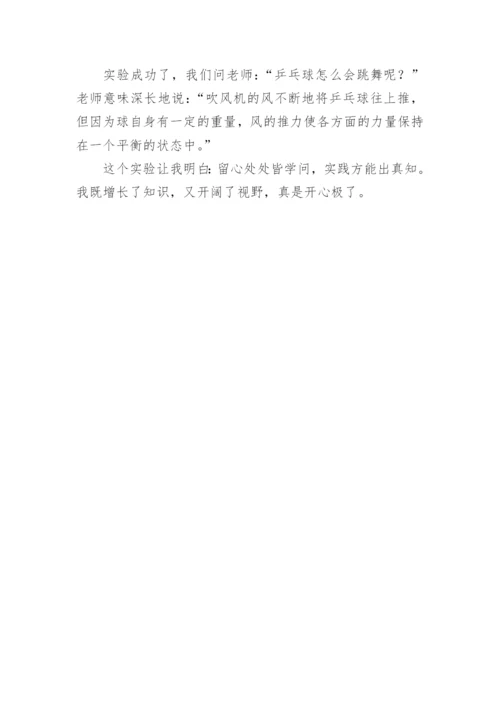 我做了一项小实验作文300字.docx