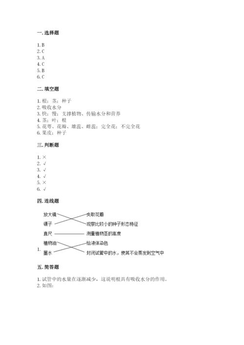 教科版科学四年级下册第一单元《植物的生长变化》测试卷含答案（巩固）.docx