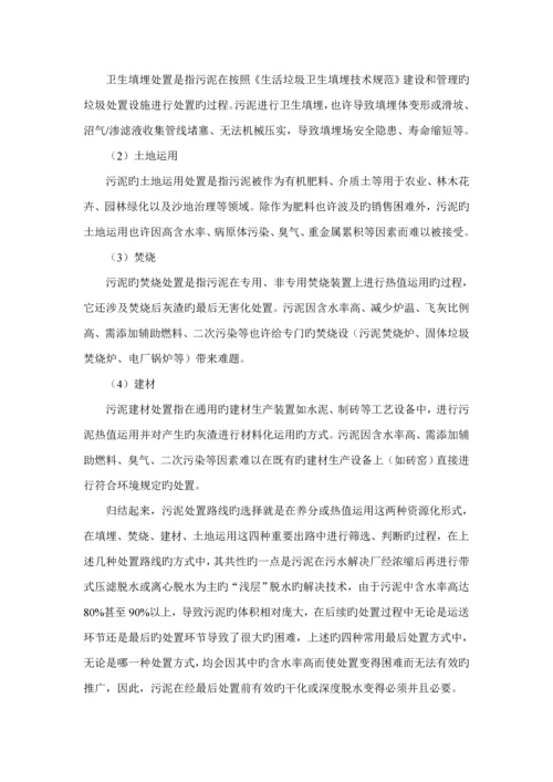 t污泥板框脱水专题方案.docx