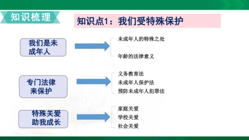 道法6上4单知识框架+知识梳理+习题训练