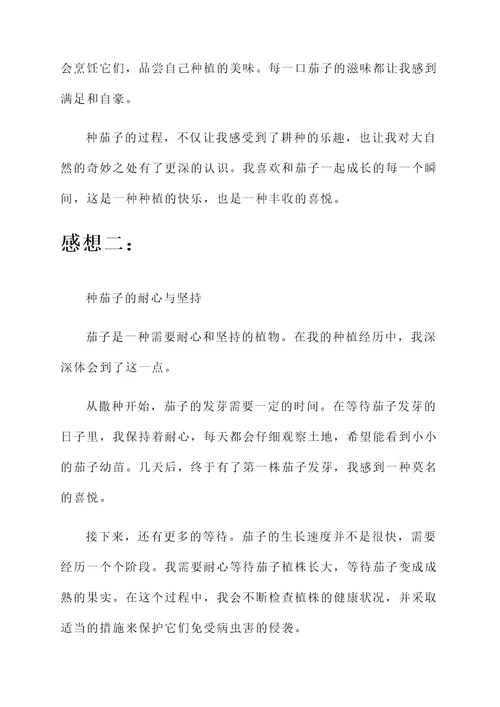种茄子的感想