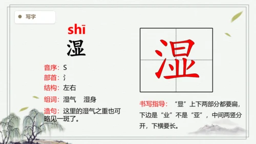【2024秋季学期教材】23.父亲、树林和鸟  生字识记课件