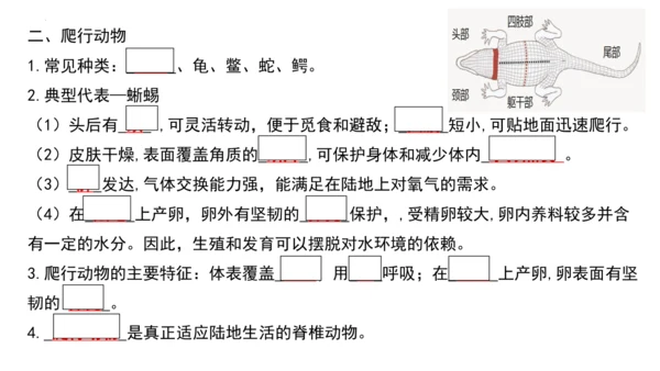 人教版生物八年级上册期末考试知识点汇总（课件）(共28张PPT)