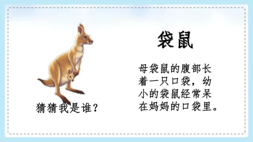统编版语文二年级上册 课文1  口语交际 有趣的动物  课件