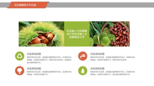 美食坚果板栗宣传动态PPT模板