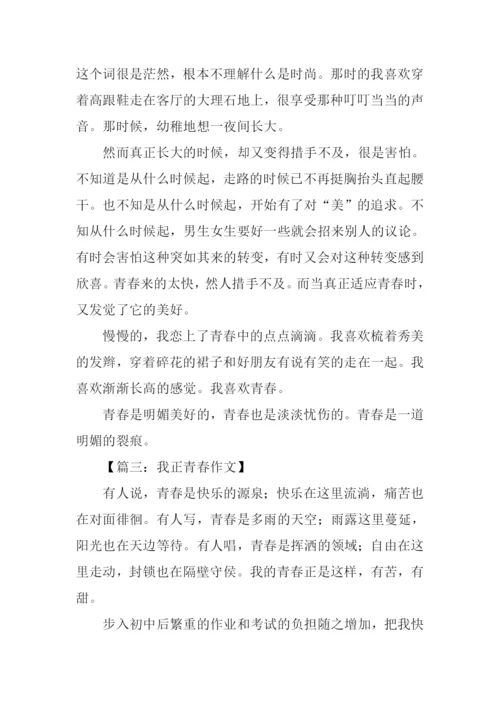 我正青春作文600字.docx
