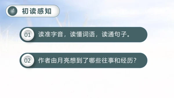 3.月是故乡明   课件
