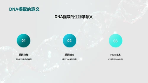 DNA提取全解析