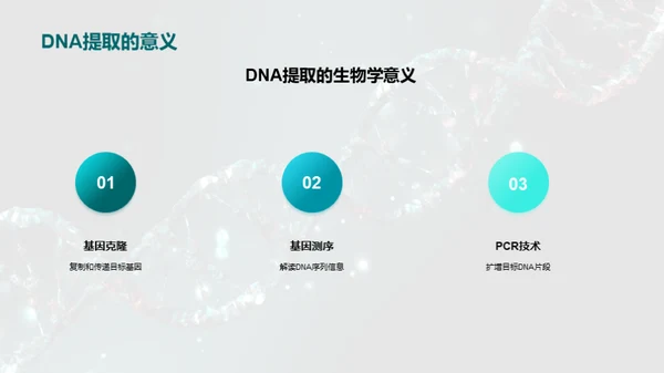 DNA提取全解析