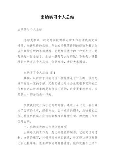 出纳实习个人总结.docx