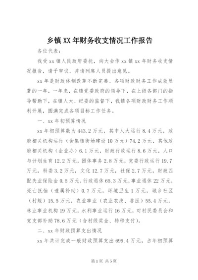 乡镇XX年财务收支情况工作报告.docx