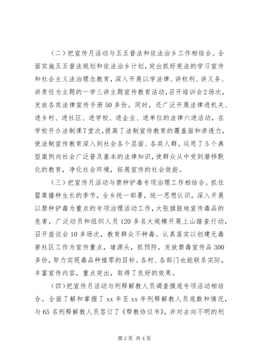 乡镇综合宣传月活动总结.docx