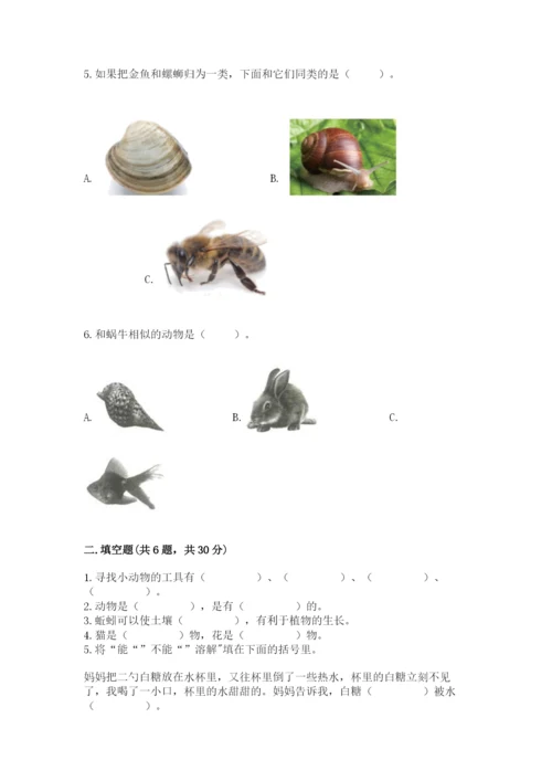 教科版小学科学一年级下册期末测试卷及参考答案（综合卷）.docx