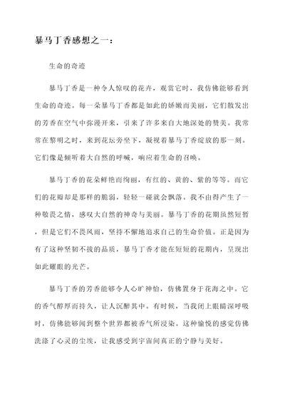 暴马丁香感想