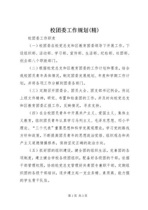 校团委工作规划(精) (5).docx