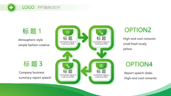 绿色简约医疗医药公司简介总结PPT
