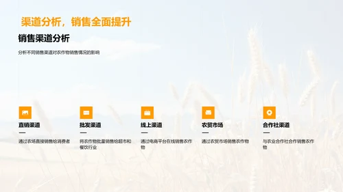 农业经营效益分析