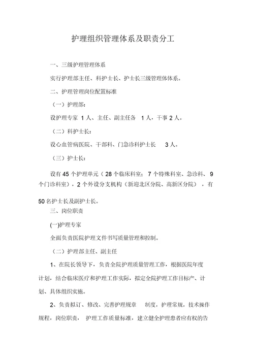 护理组织管理体系及职责分工