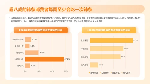 2023年中国辣条食品行业创新及消费需求洞察报告PPT