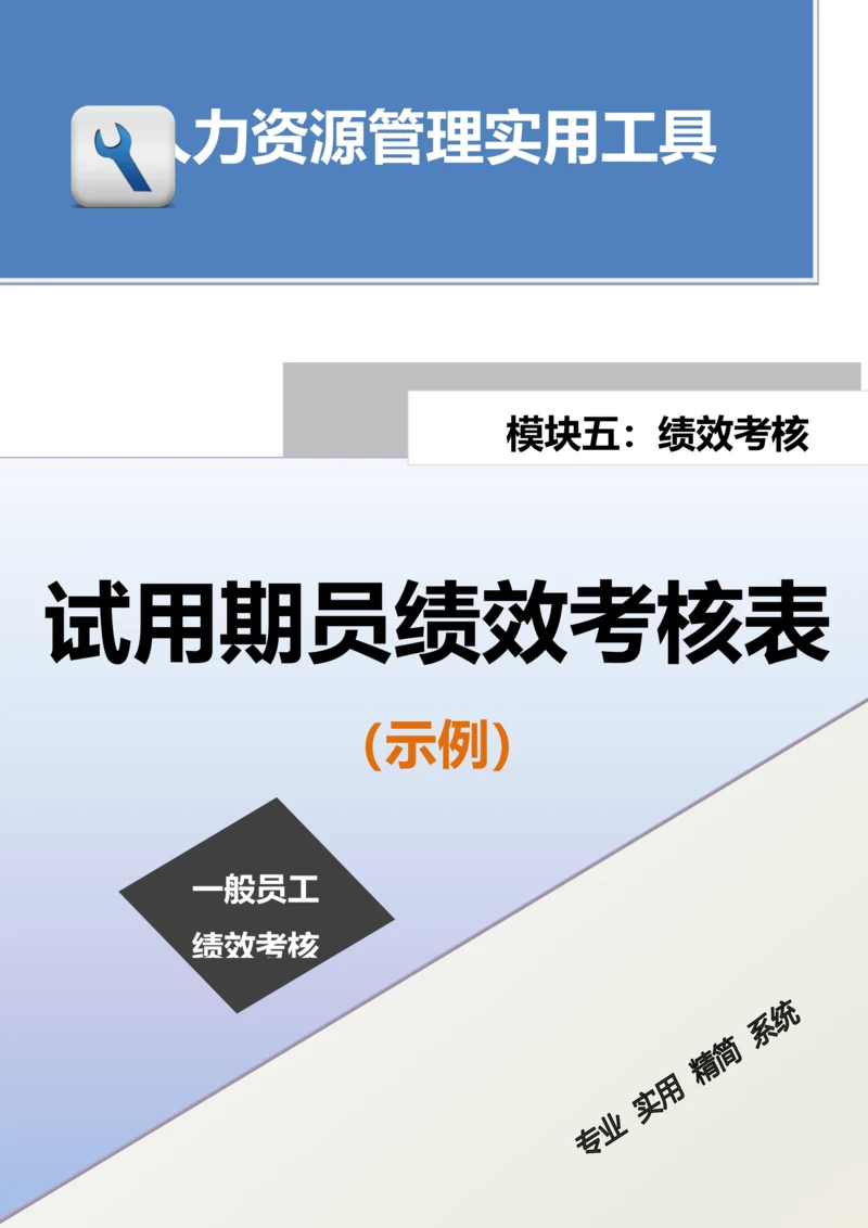 试用期员绩效考核表.docx