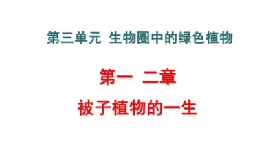 人教版七年级生物上册第三单元第一与二章复习课件(共21张PPT)