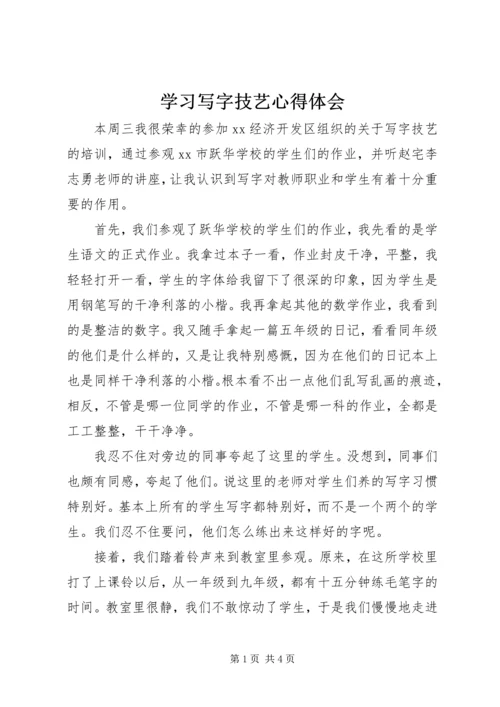 学习写字技艺心得体会.docx