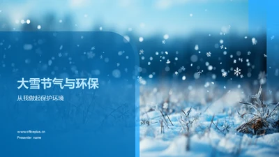 大雪节气与环保