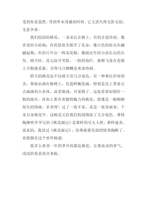 关于描写桃花的作文.docx