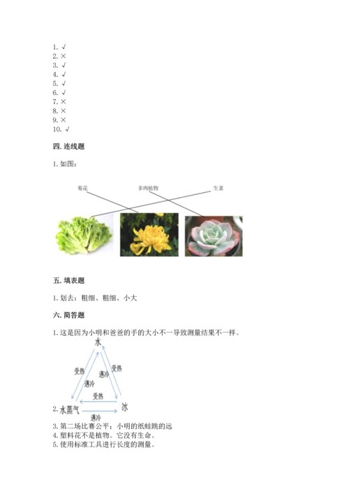 教科版一年级上册科学期末测试卷审定版.docx
