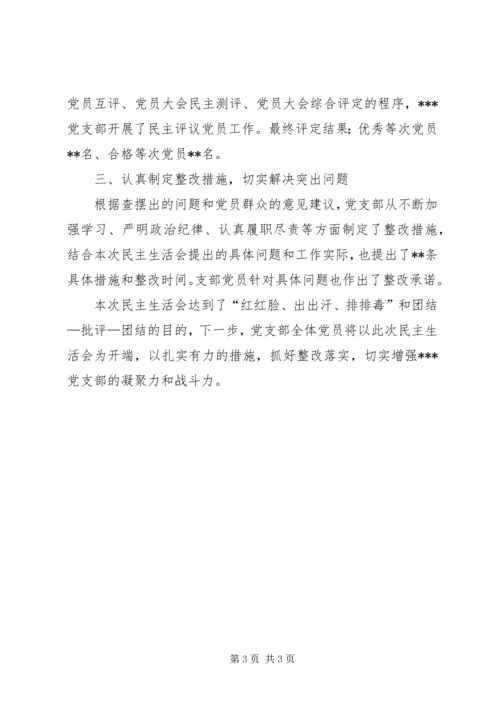关于党支部召开民主生活会和组织生活会及民主评议党员情况报告.docx