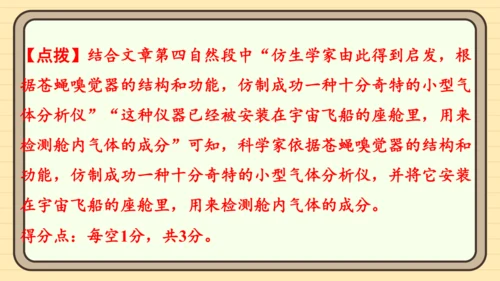 统编版语文四年级上册主题八　科技展望 阅读与写作指导课件