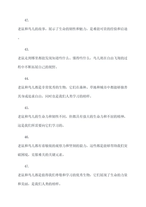 老鼠和鸟谚语