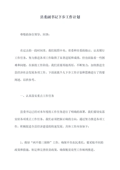 县委副书记下步工作计划