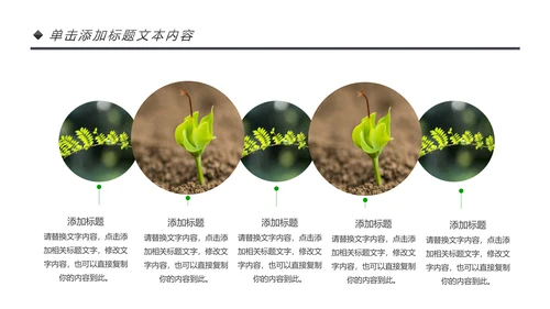 绿色唯美植物生长敬畏生命发芽PPT模板