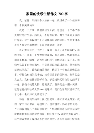 家里的快乐生活作文700字.docx