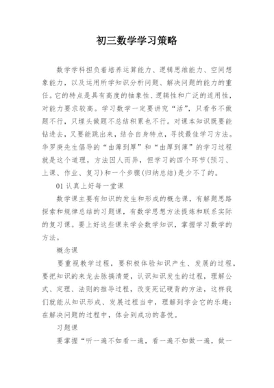 初三数学学习策略.docx